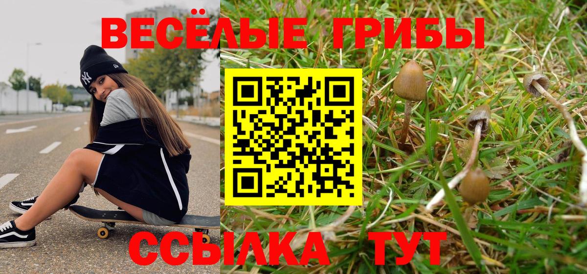 Псилоцибиновые грибы GOLDEN TEACHER Чистополь