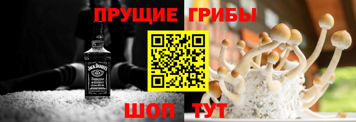 Чистополь  Псилоцибиновые грибы прущие грибы  Вход с VPN  купить наркоту  Псилоцибиновые грибы Magic Shrooms 